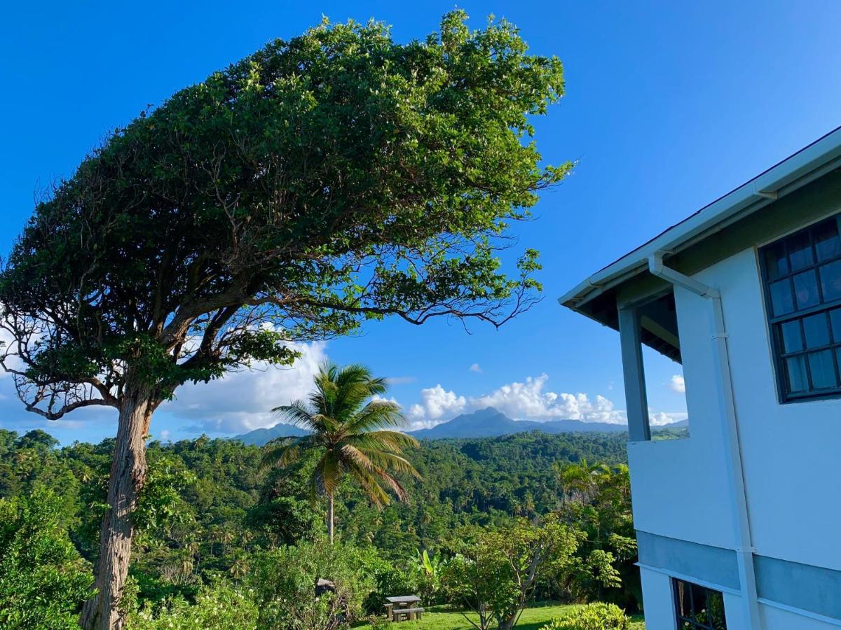 Sea Cliff Eco-cottages & Gin Distillery *