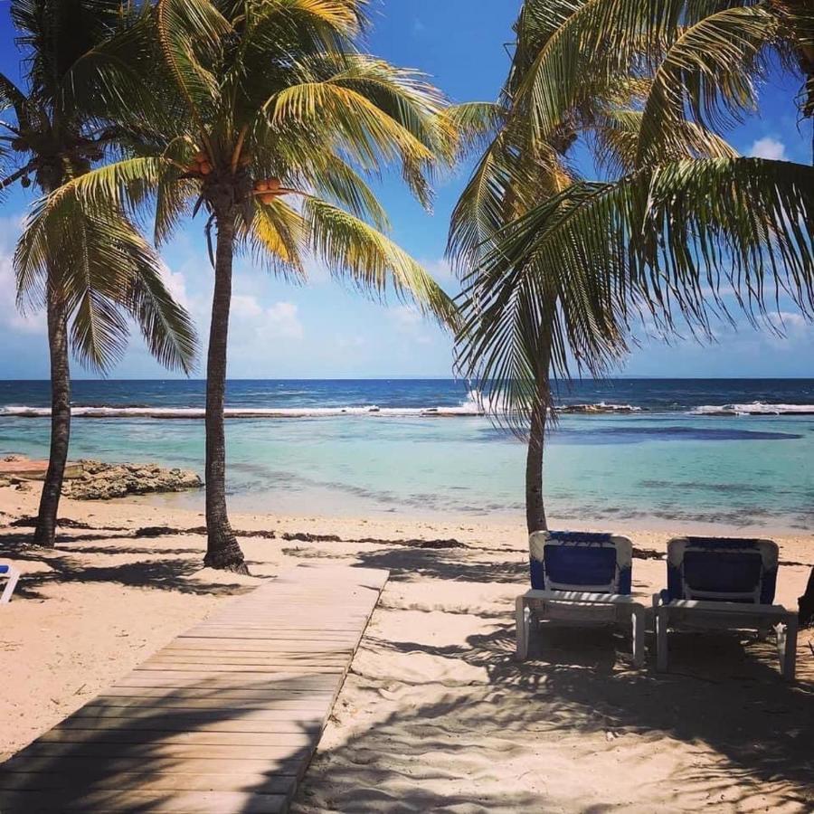 Tahiti Vue *
