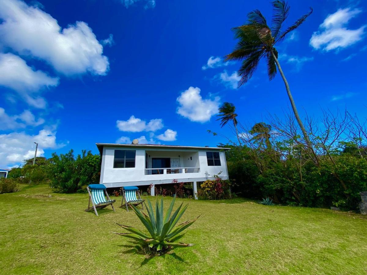 Sea Cliff Eco-cottages & Gin Distillery Holiday home *