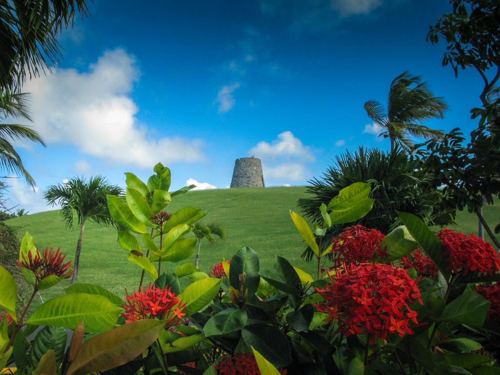 Tamarind Reef Spa & Marina Christiansted