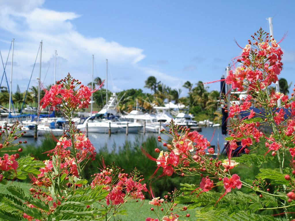 Resort Tamarind Reef Spa & Marina