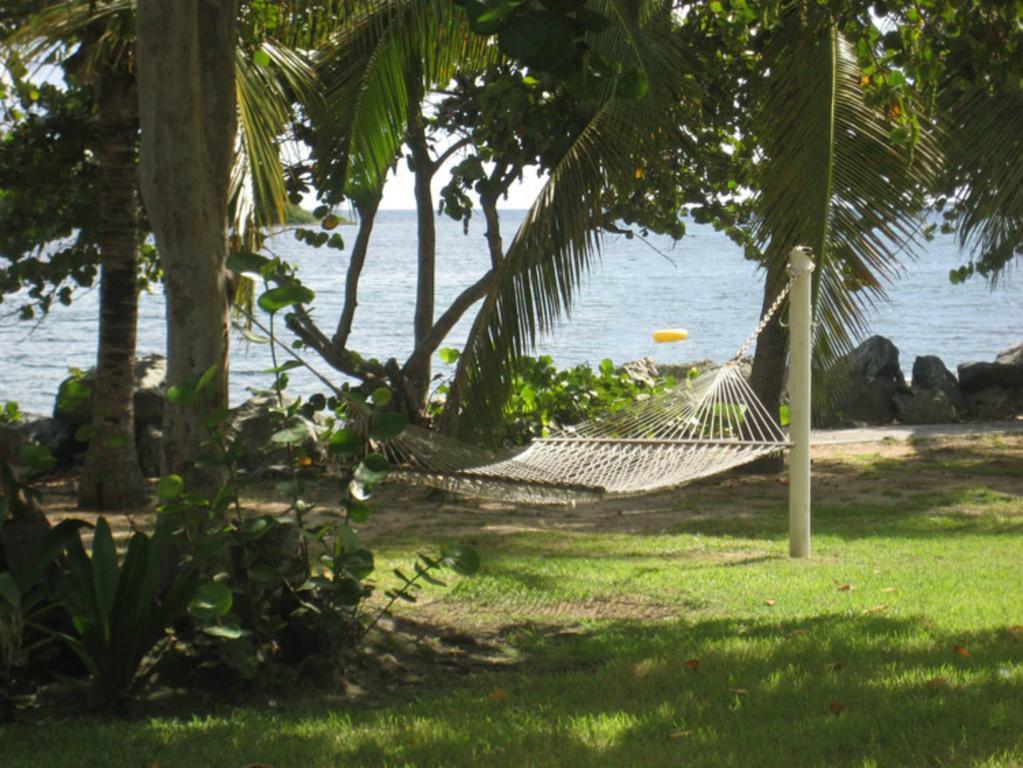 Tamarind Reef Spa & Marina 3* Christiansted