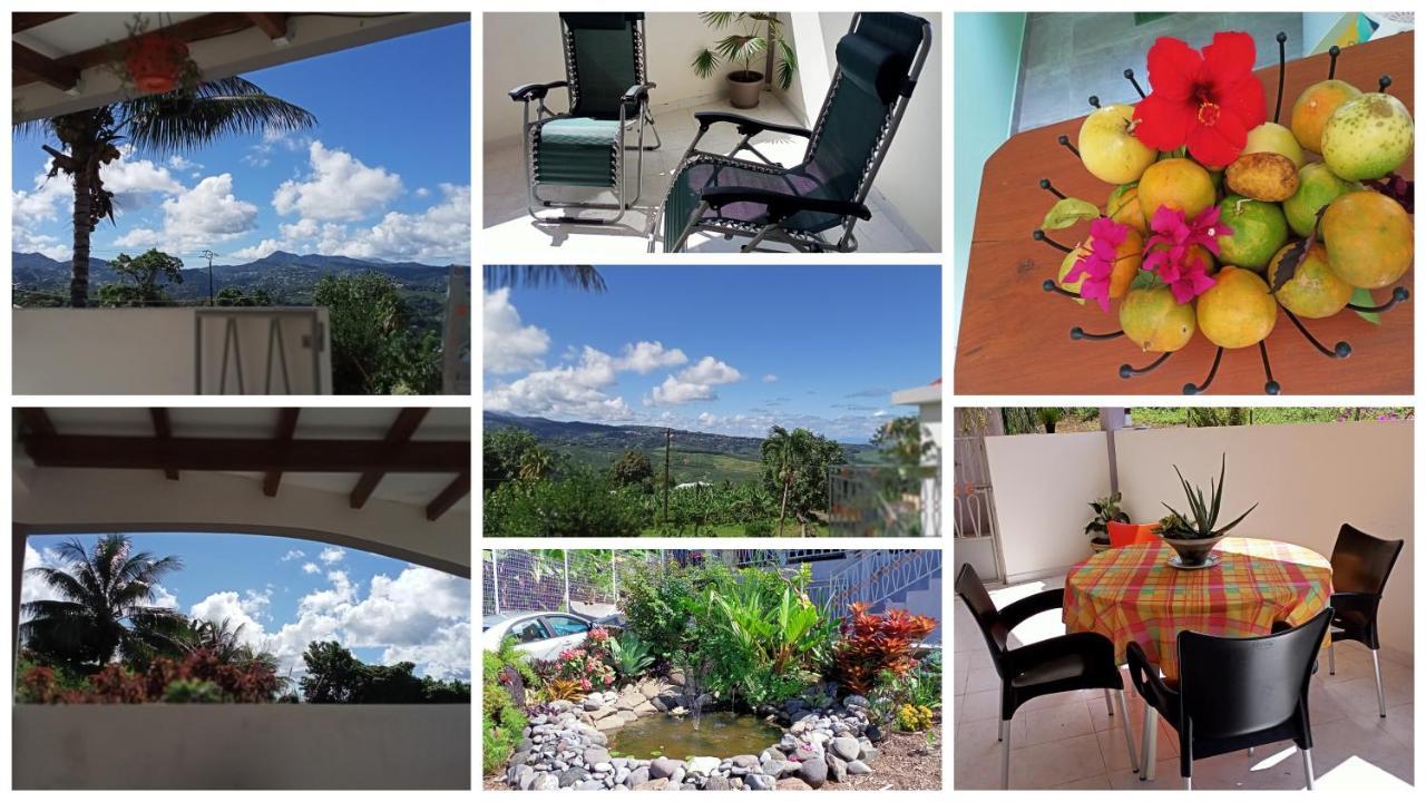 Paradis Cache - Confort Terrasse - Kybo Karaib Location - Pkg - Mtgne * Sainte-Marie