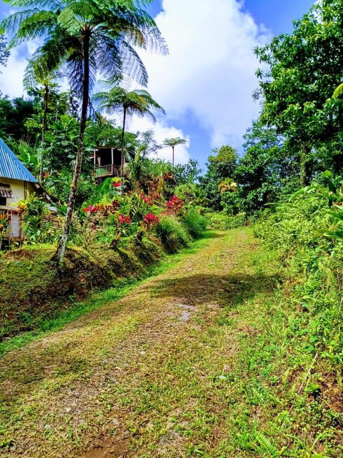 Roots Jungle Retreat Marigot