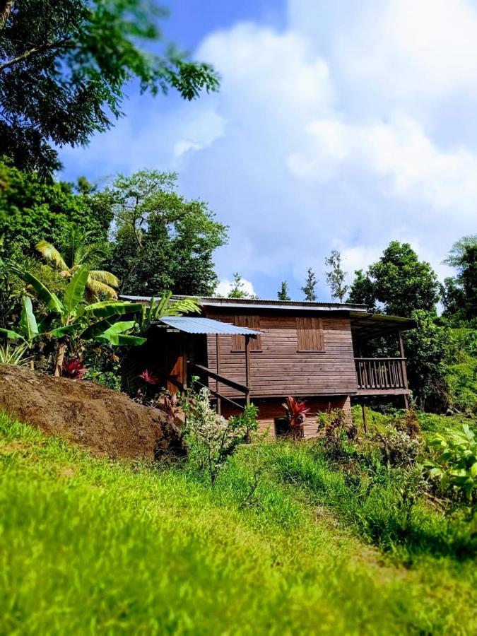 Roots Jungle Retreat Lodge Marigot
