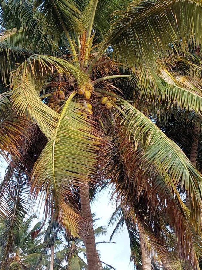 Puntacana Lavacama Costa Arrecife By Aa Crypto Group Alojamento Punta Cana