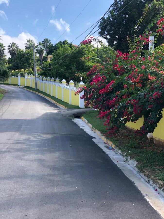 Guest house Pura Vida Jamaica Falmouth
