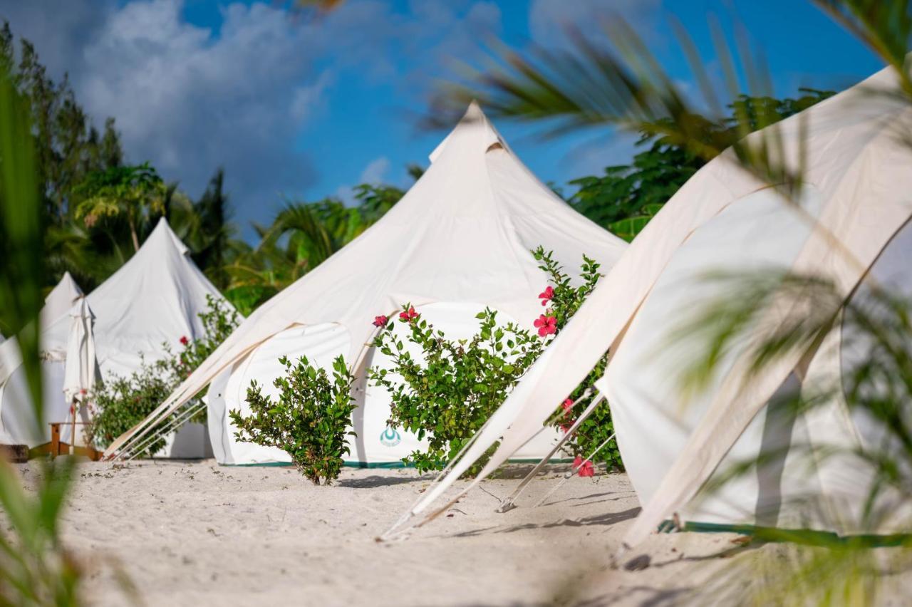 Wild Lotus Glamping Luxury tent