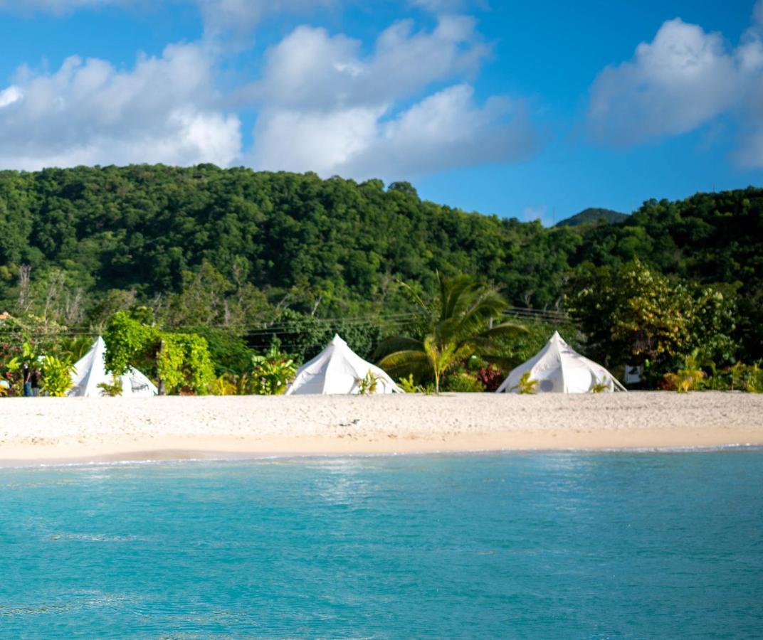 Wild Lotus Glamping 5*