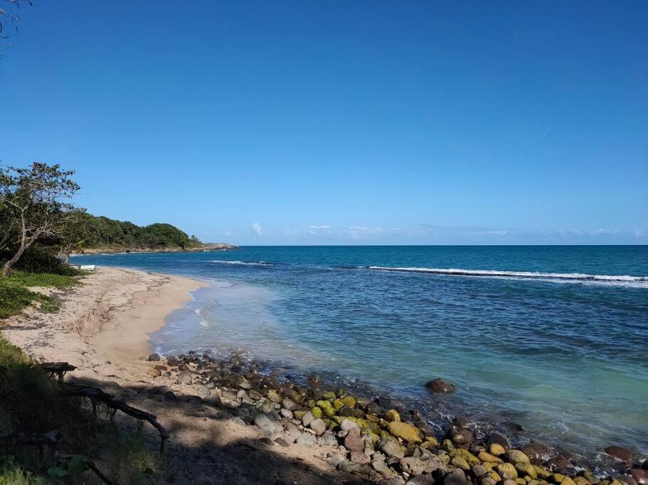 De Avec Vue Sur La * Sainte-Rose