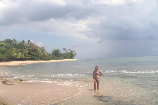 Seashore *