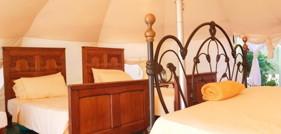 Wild Lotus Glamping 5*