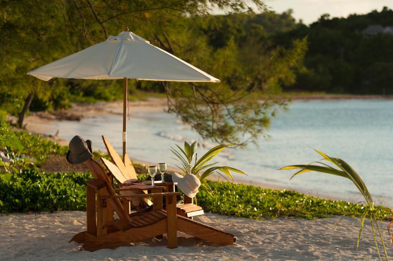 Wild Lotus Glamping Bolands