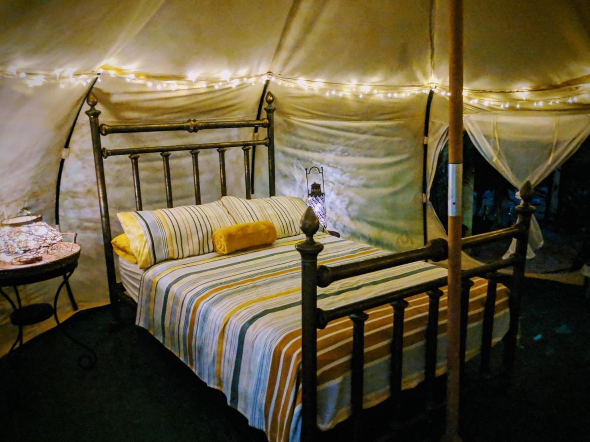 Wild Lotus Glamping