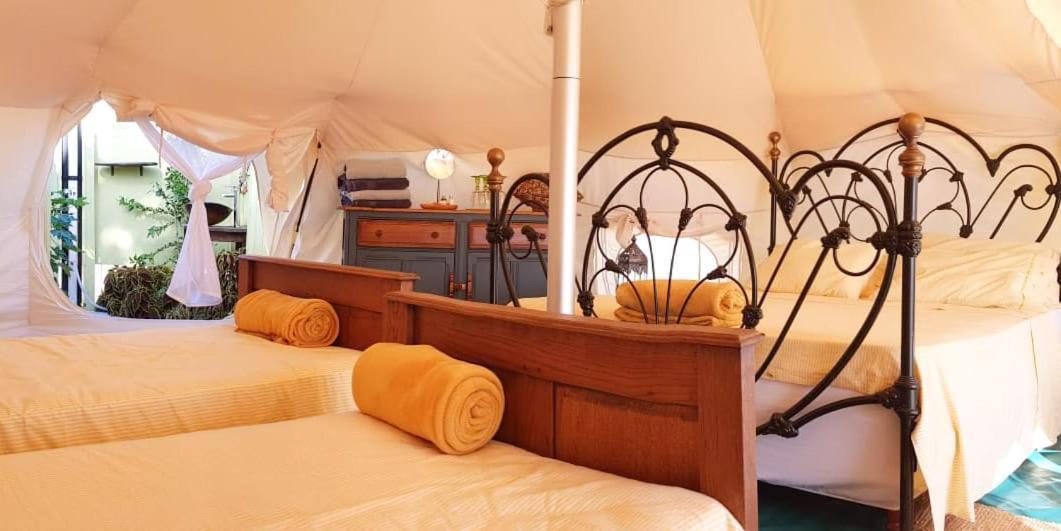Luxury tent Wild Lotus Glamping Bolands