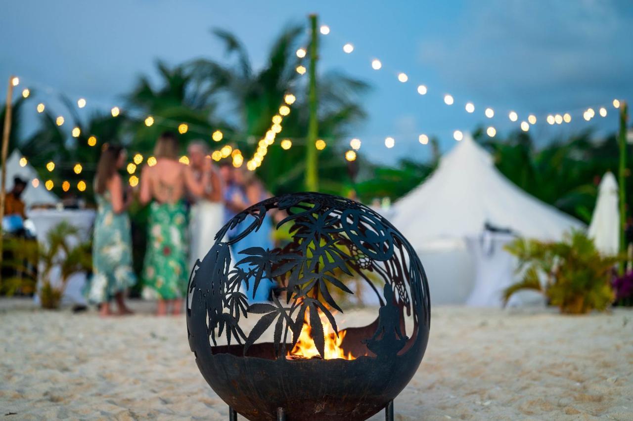 Wild Lotus Glamping Bolands