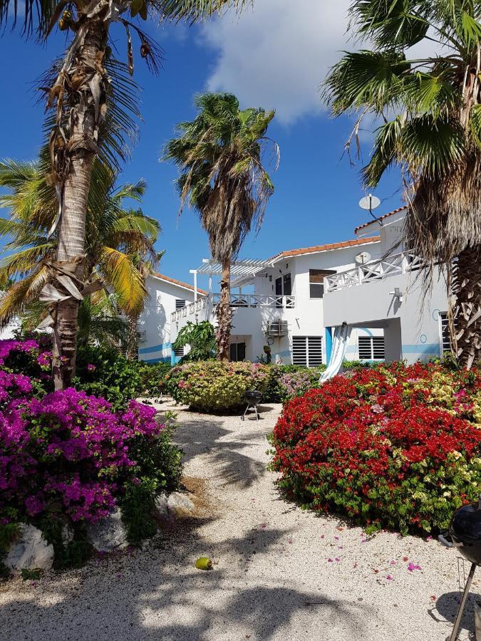 Apartment Marazul Dive F1