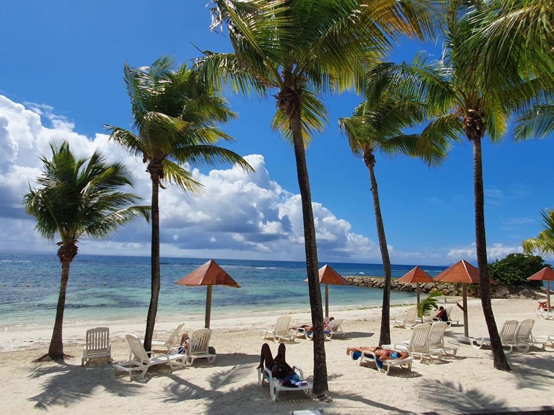 Martial Tropiques: Beachfront With Sea Views In Ste Anne * Sainte-Anne (Grande-Terre)