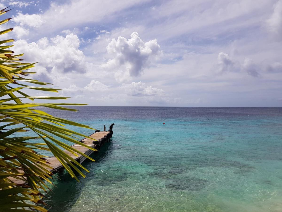 Marazul Dive F1 Apartment Westpunt