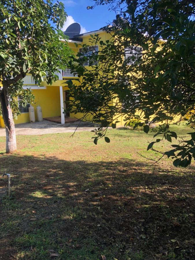 Pura Vida Jamaica