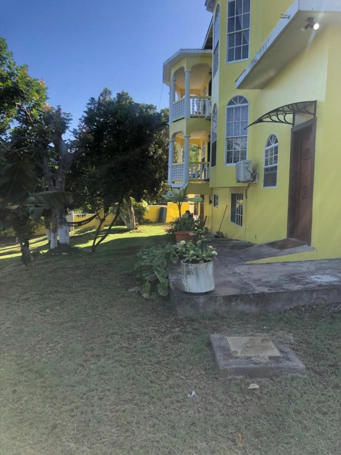 Pura Vida Jamaica * Falmouth
