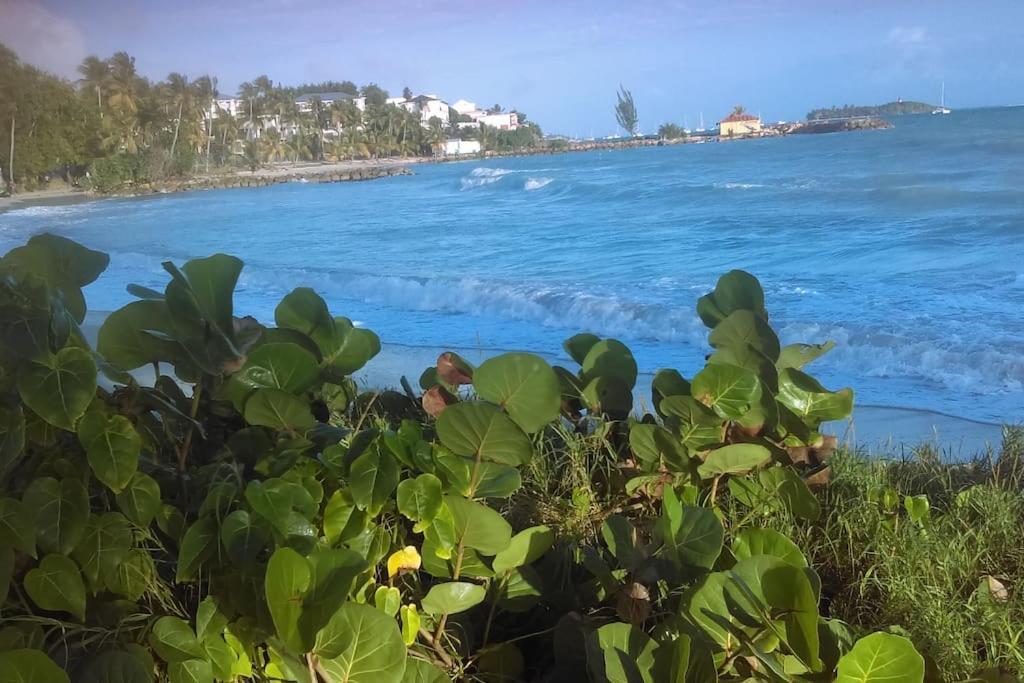 Apartamento La Kaz Du Lagon