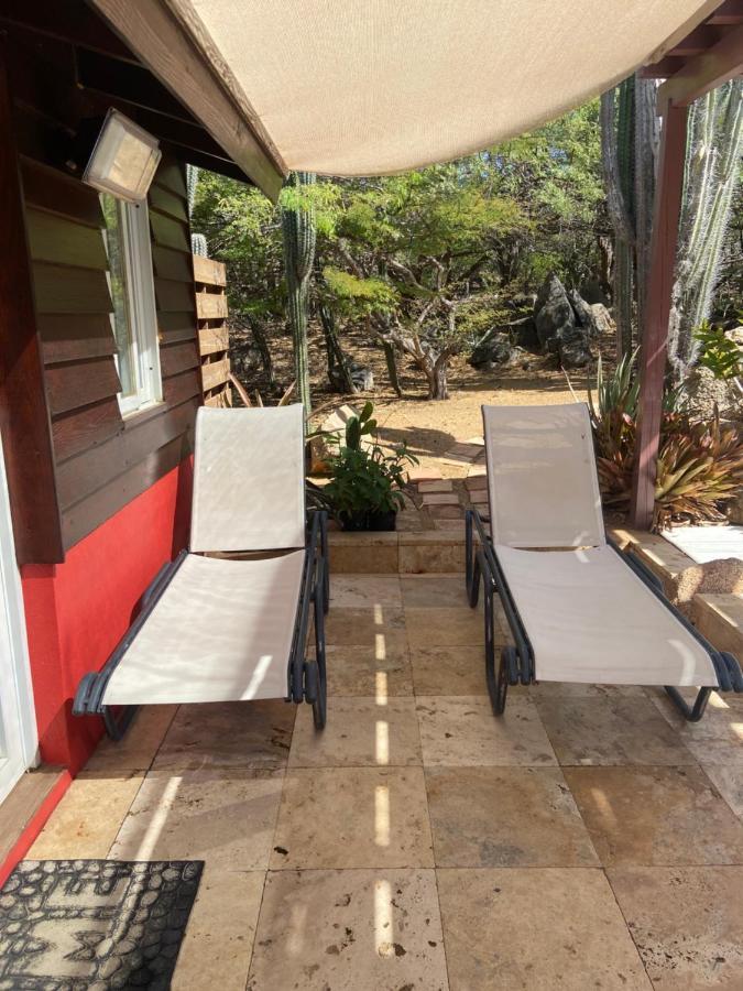Cozy With Private * Oranjestad