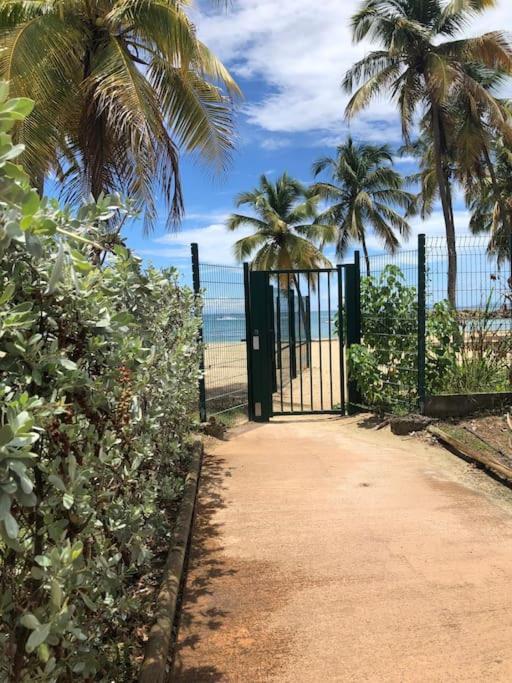 Apartment Soleiade - Acces Le Gosier (Grande-Terre)