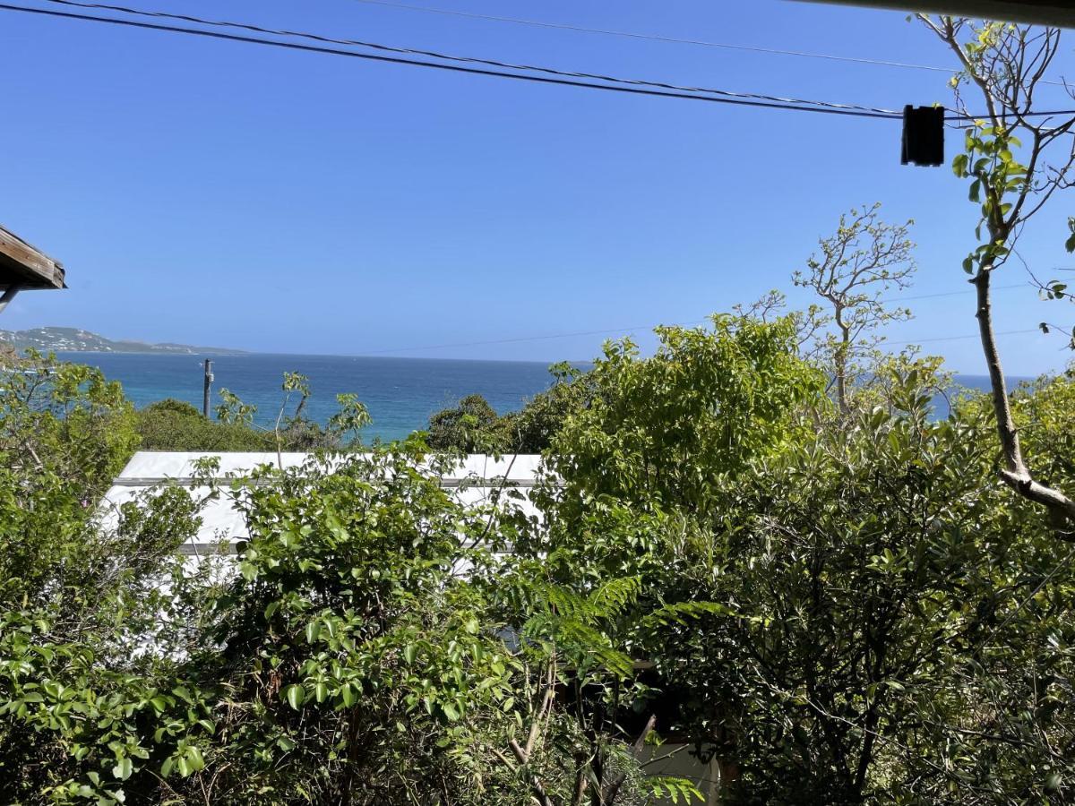 Campsite Virgin Islands Water Island
