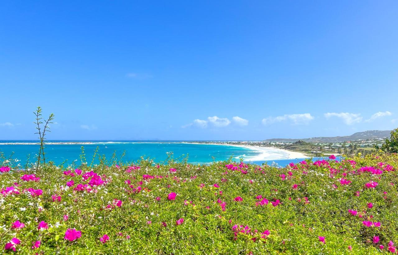 Apartamento Front Line Unit 520 Ft2 - 48 M2, On Second Floor, Stunning Ocean View