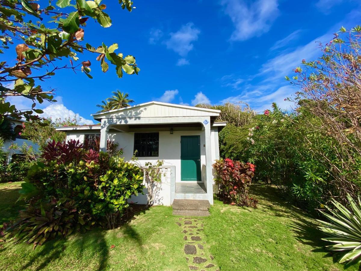 Sea Cliff Eco-cottages & Gin Distillery Holiday home *
