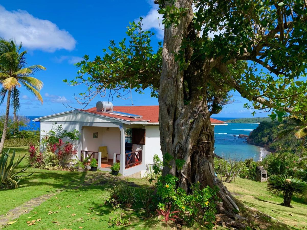 Sea Cliff Eco-cottages & Gin Distillery
