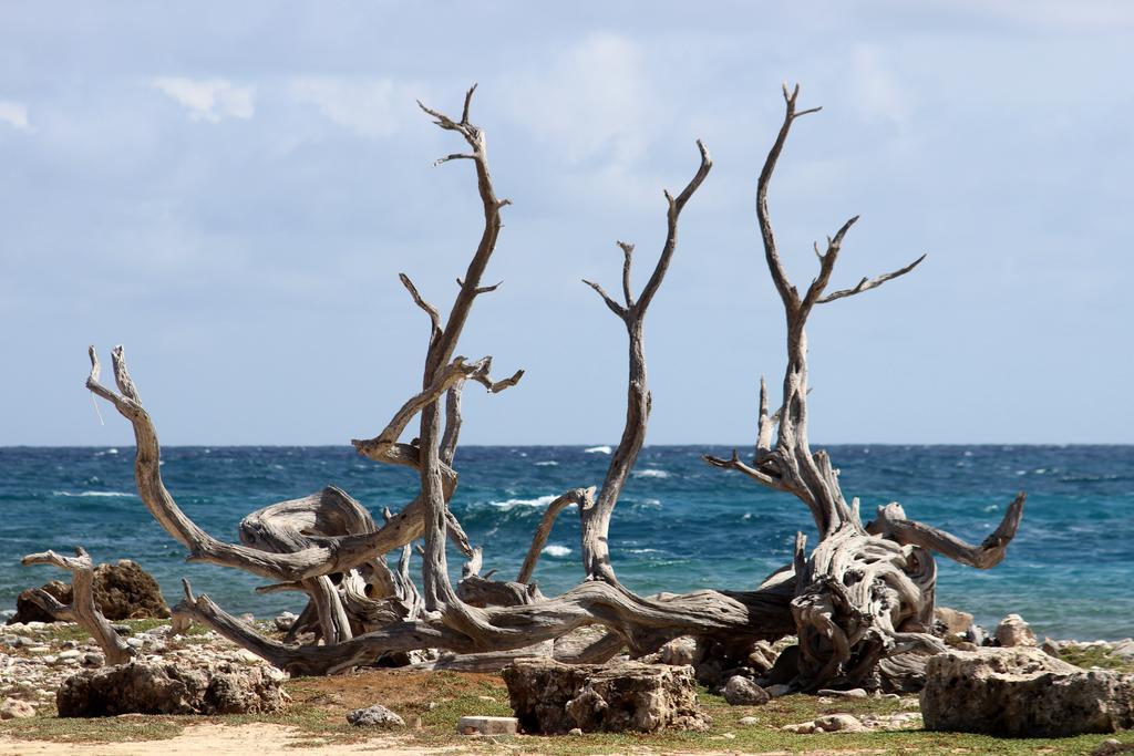 Wanapa Aparthotel Bonaire