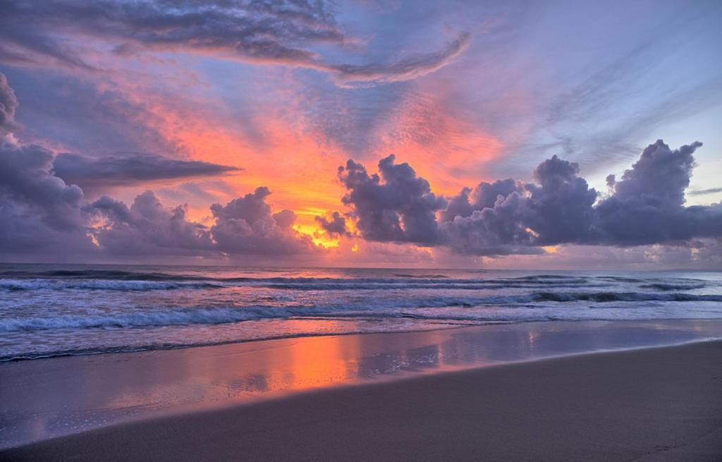 Amazing Ocean View With Grand Pool Apartamento Cabarete
