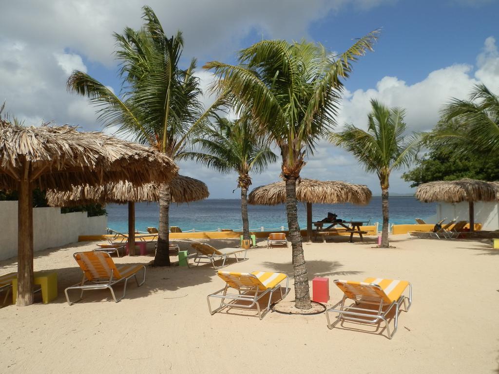 1 And 5 In Windsock * Bonaire