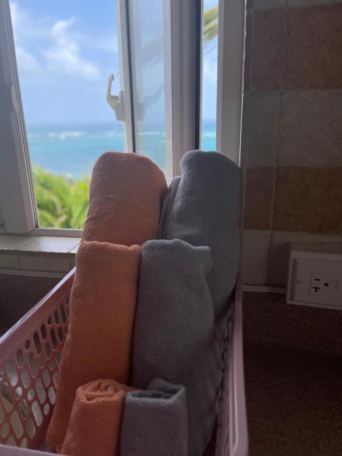 'grand Riveire' Private With Ocean View Saint Philip