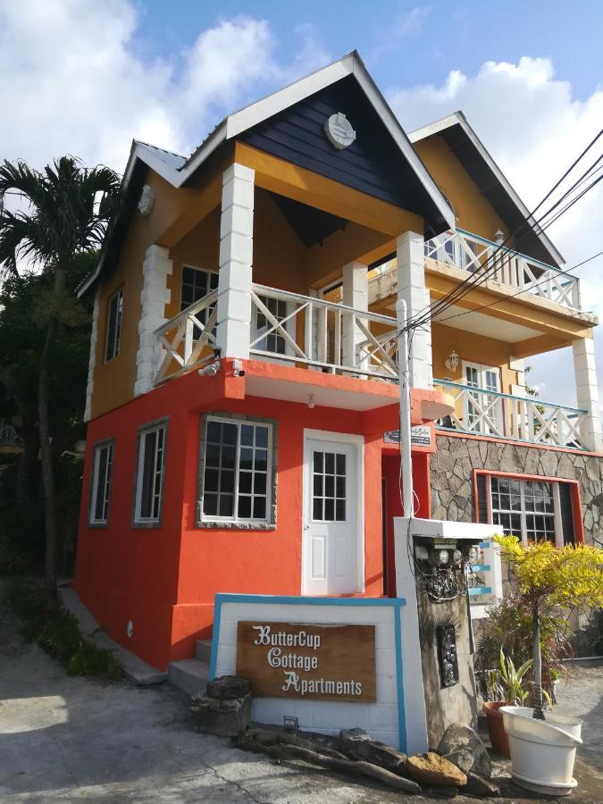 Buttercup Apartment