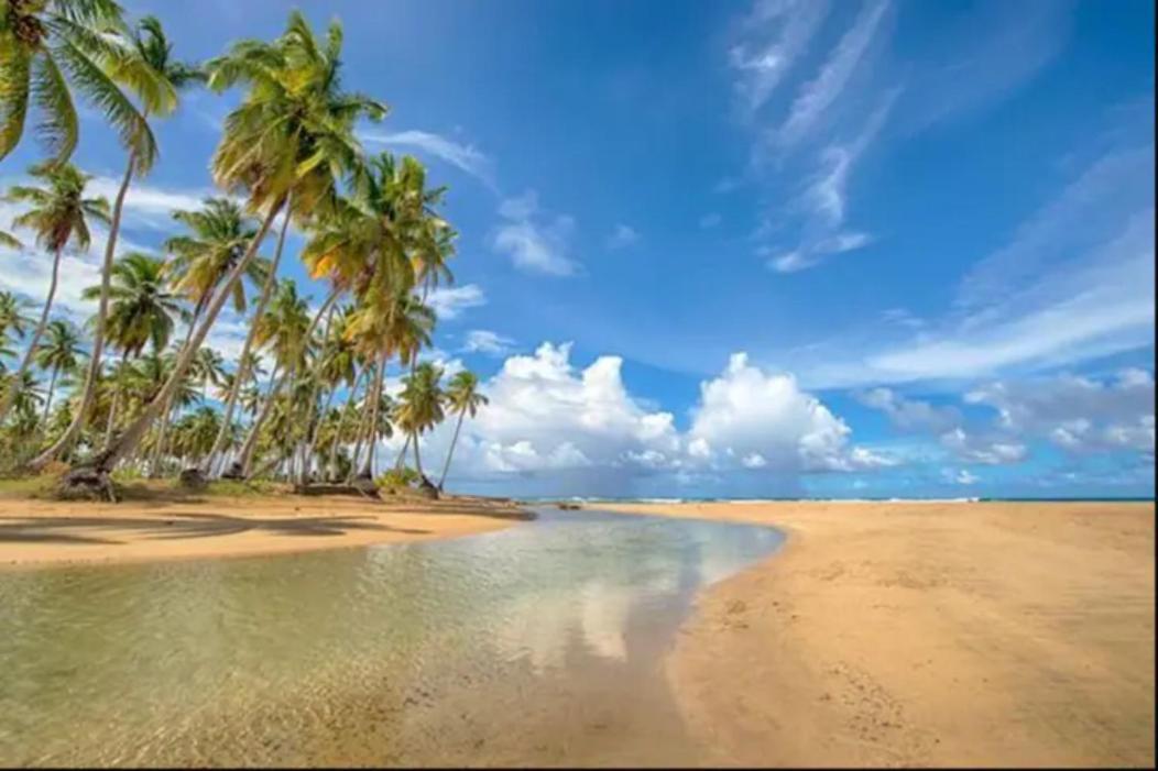 Calma, Luxury For Big Groups At The With Large Pool Villa Las Terrenas