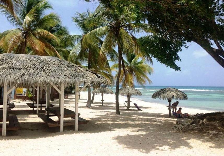 Apartment Le Ti'paradise Anse Des Rochers *