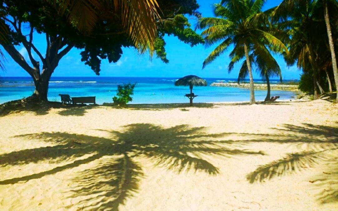 Le Ti'paradise Anse Des Rochers Belle-Allée