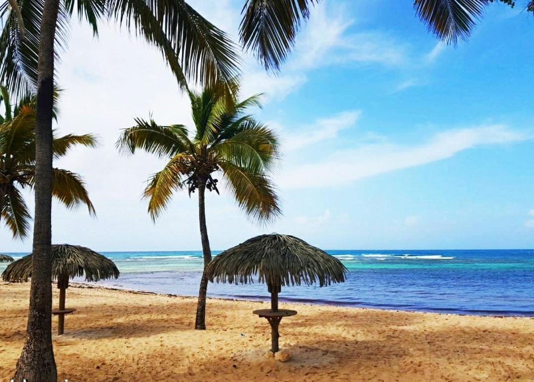 Le Ti'paradise Anse Des Rochers Apartment