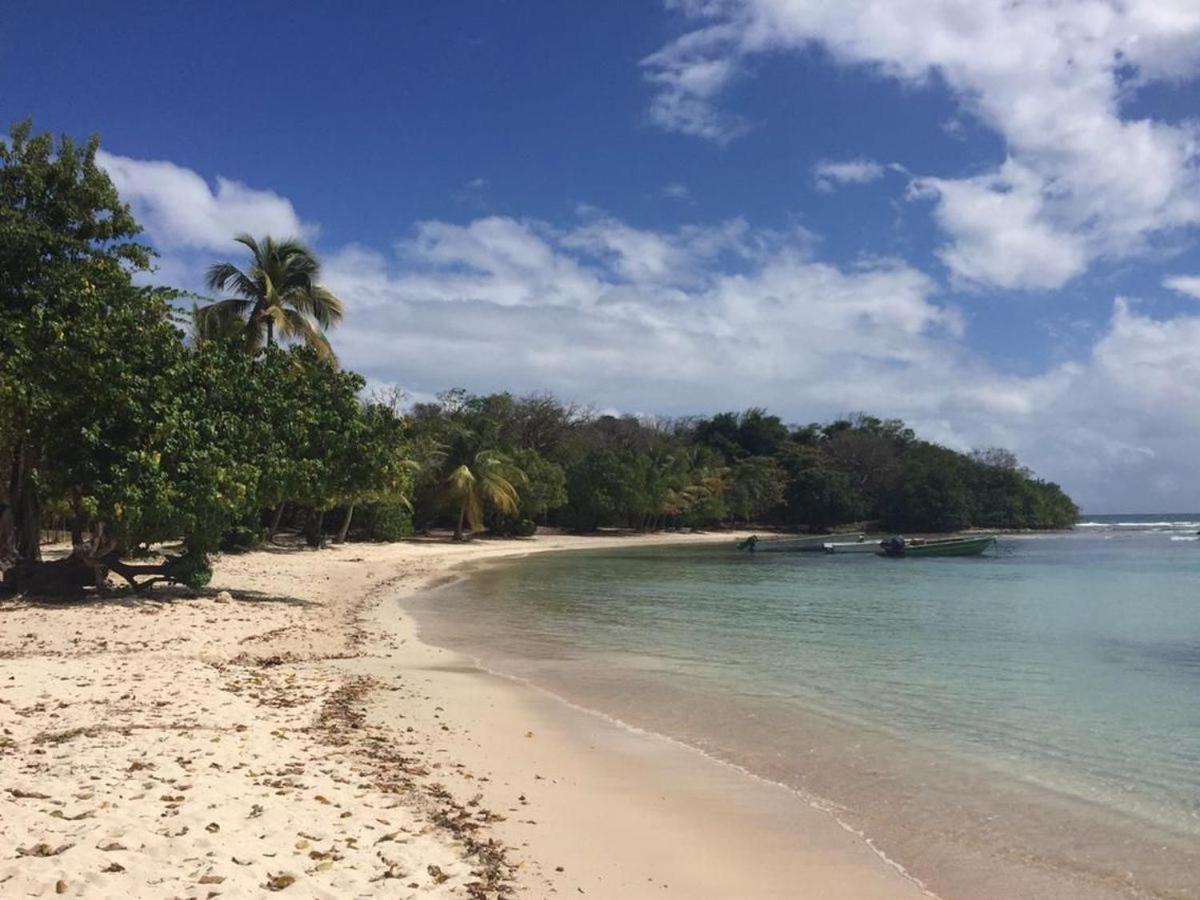 O'kalm * Le Gosier (Grande-Terre)