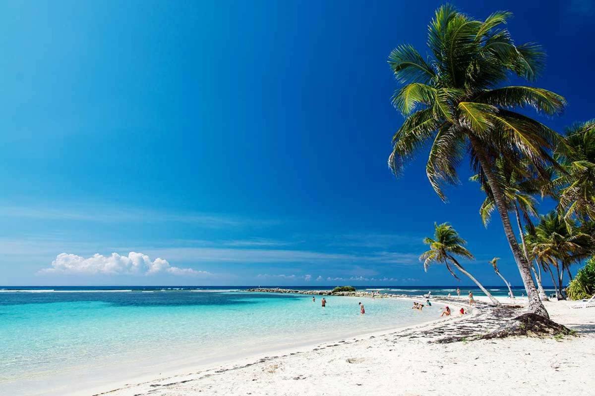 Le Ti'paradise Anse Des Rochers Apartment *
