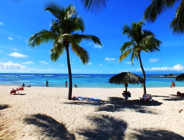 Le Ti'paradise Anse Des Rochers Apartment Belle-Allée