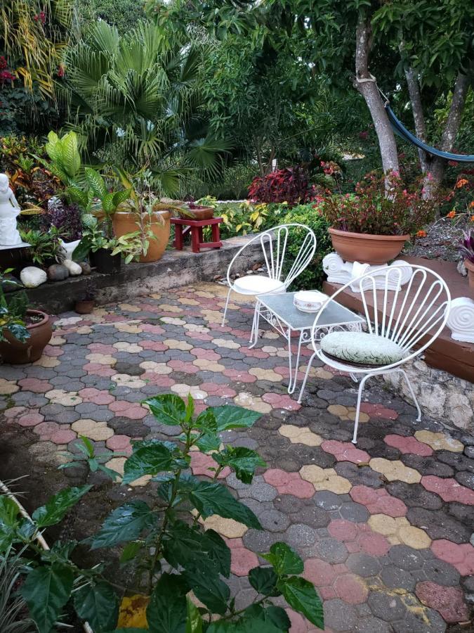 Cliffe Ranch Villa Mandeville
