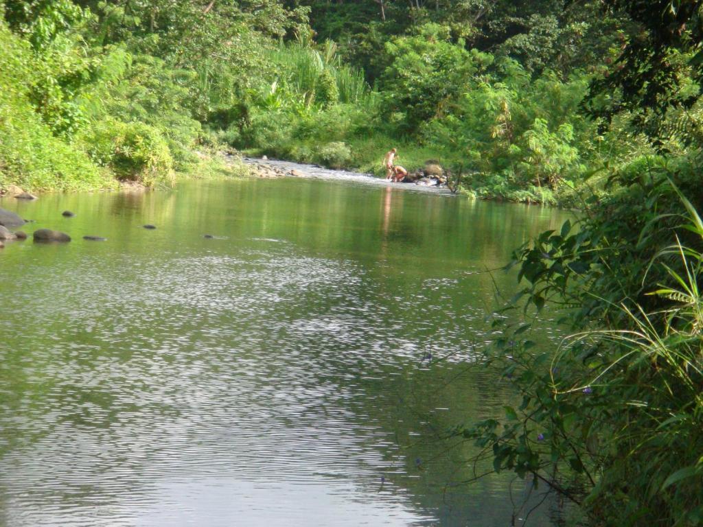 Pensão Hibiscus Valley 3*