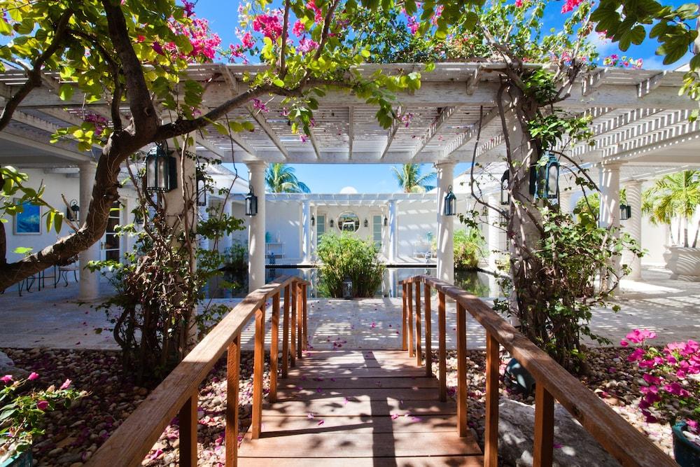 The Palms Turks And Caicos Hotel 5*