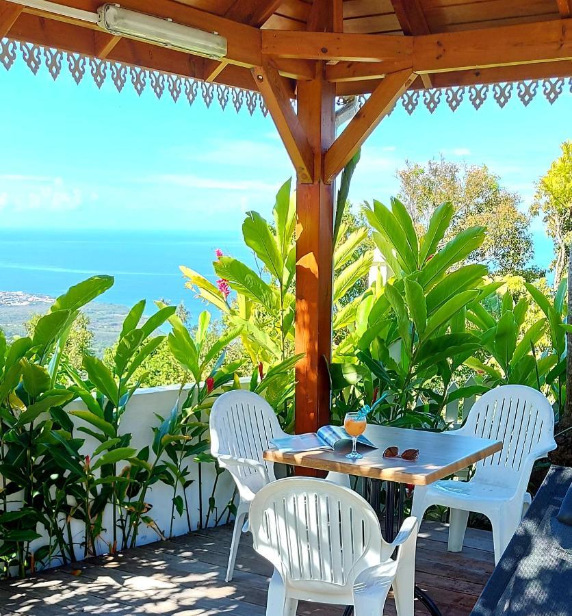 Belavue & Prive, Avec Vue Panoramique Sur Mer, Jardin Creole Paysager, Jacuzzi Prive