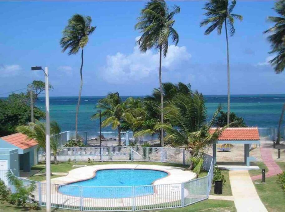 Apartment 3bedrm Penthouse With Rooftop Terrace & Wifi Rio Grande