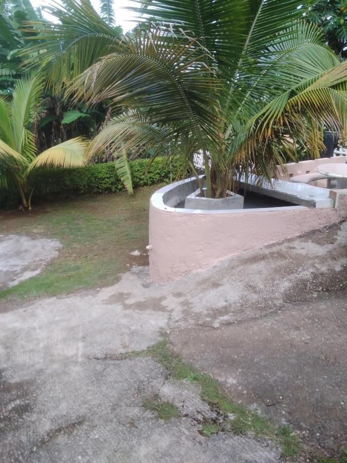 Becaville Bed & Breakfast *